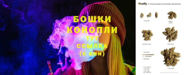 PSILOCYBIN Зеленодольск