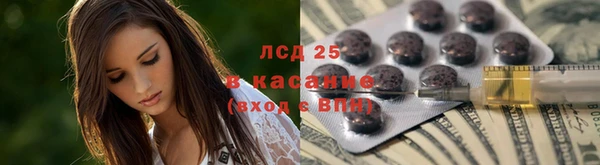 тгк Ельня